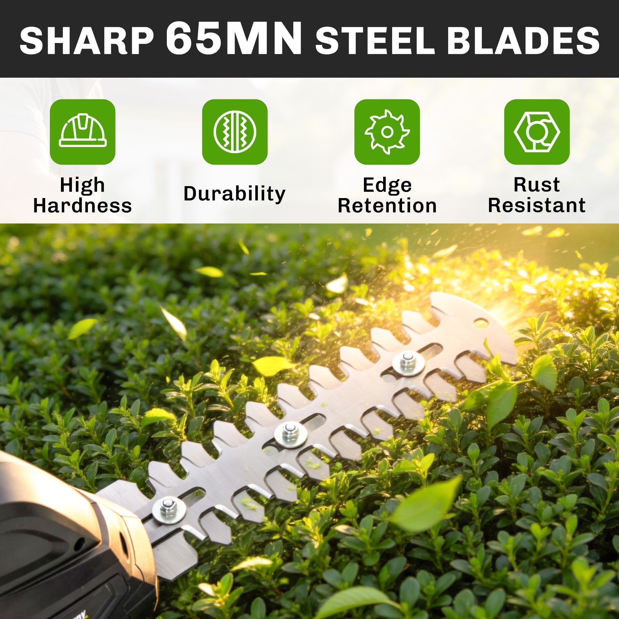 2-in-1 Cordless Hedge Trimmer & Grass Shear with 2 Batteries