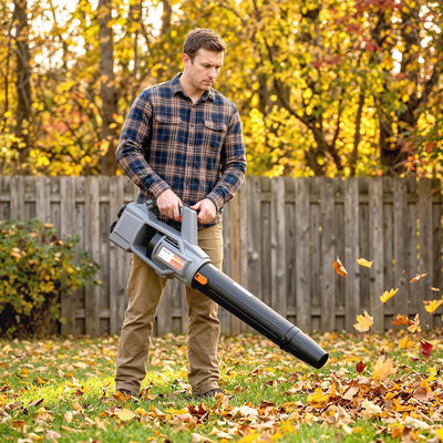 36V Cordless Leaf Blower with 2 Batteries and Charger