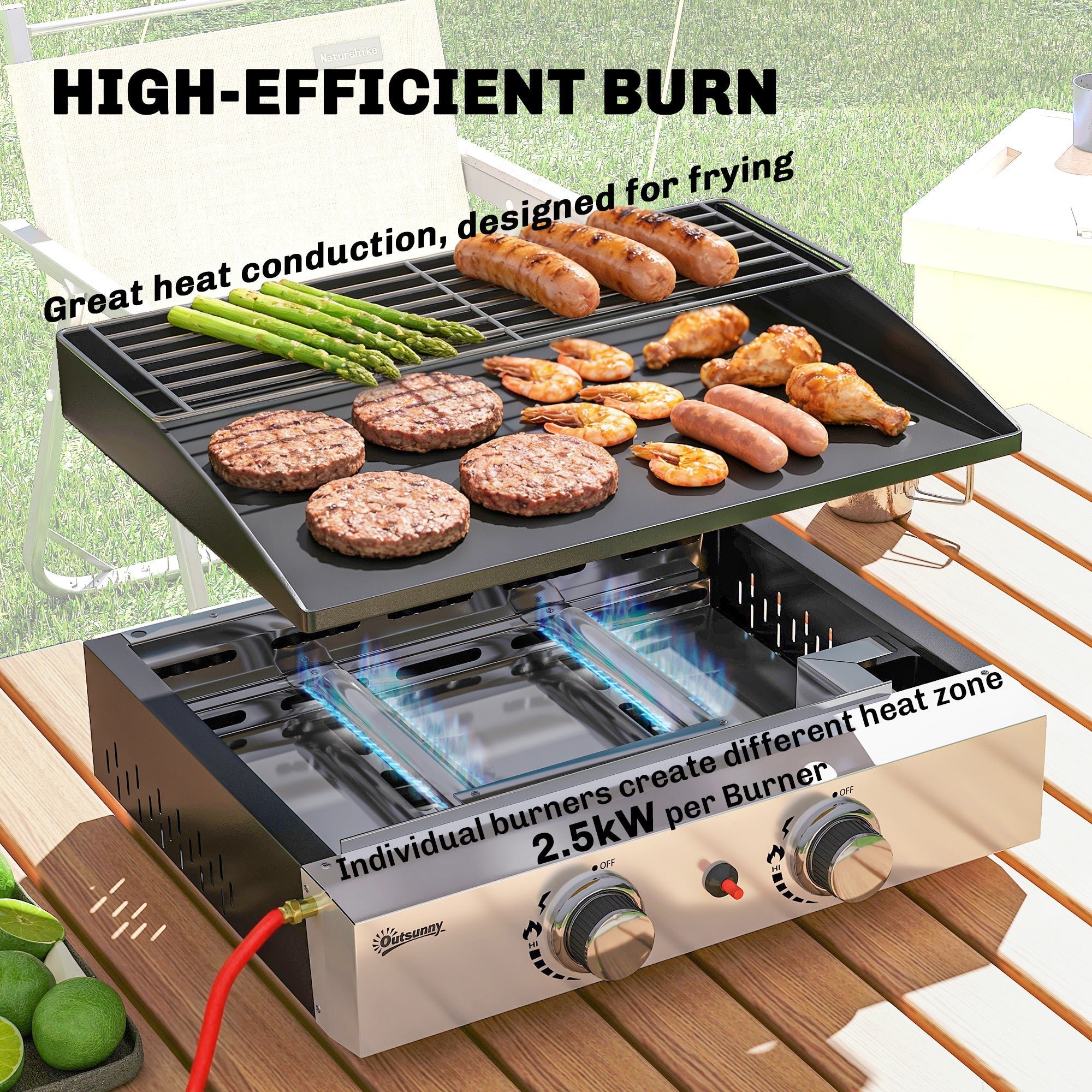 2 Burner Gas Plancha Grill with Warming Rack, 5 kW, Black